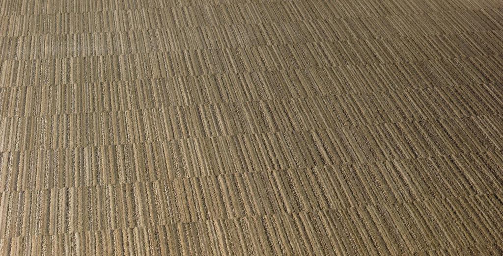 Surface



Shaw Contract Group

shawcontractgroup.com

High-performance carpet broadloom collection with Eco Solution Q fiber and EcoWorx Broadloom backing - Available in three patterns (Shift, Fine Line, and Intersect) and 12 colors - 12' wide - Shift is 59% solution dyed and 41% yarn dyed - Intersect and Fine Line are 100% solution dyed