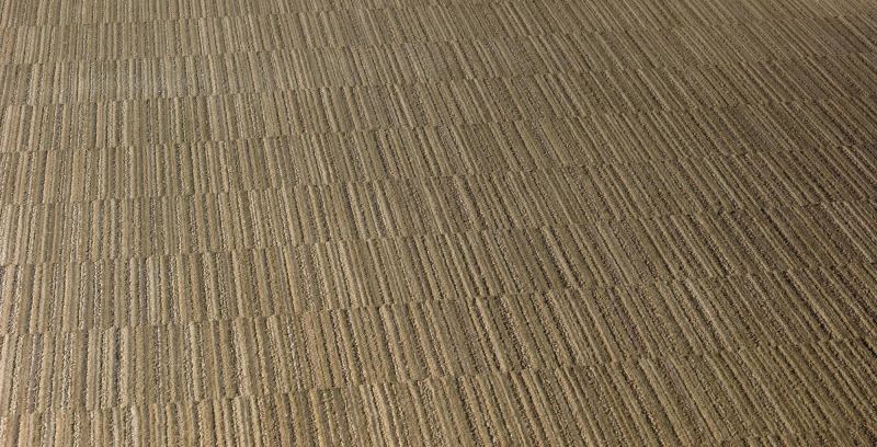 Surface



Shaw Contract Group

shawcontractgroup.com

High-performance carpet broadloom collection with Eco Solution Q fiber and EcoWorx Broadloom backing - Available in three patterns (Shift, Fine Line, and Intersect) and 12 colors - 12' wide - Shift is 59% solution dyed and 41% yarn dyed - Intersect and Fine Line are 100% solution dyed