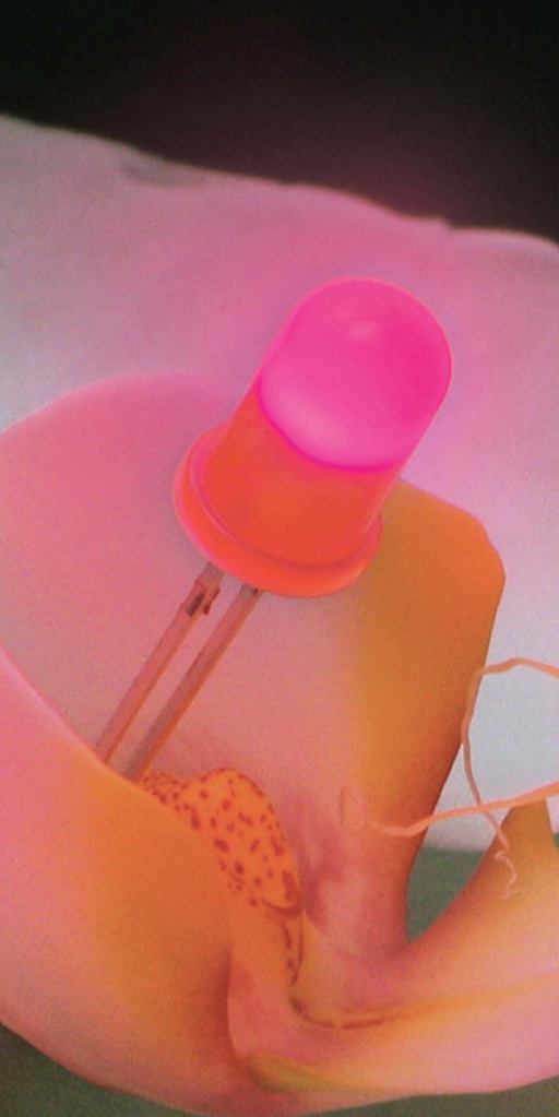 5 mm domed fluorescent pink LEDsLEDtronicswww.ledtronics.com

InGaN 5mm diode with optical-grade epoxy - Produces 80 mcd illumination visible even in direct sunlight - 180-degree viewing angle - Averages 100,000-plus hours