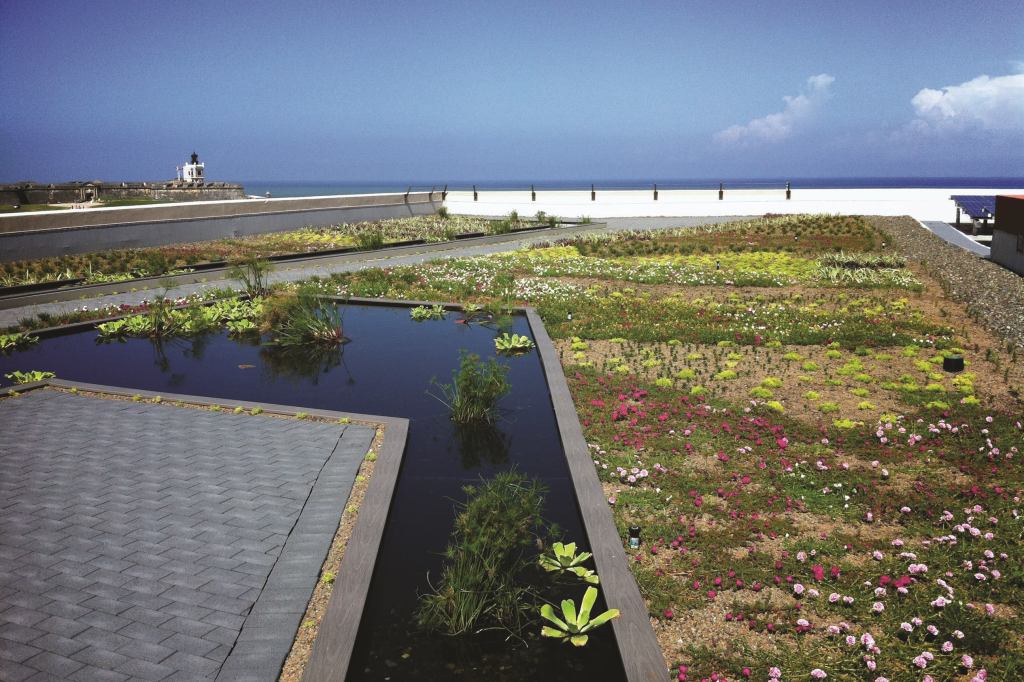 El Cuartel de Ballajá, Vegetated Green Roof  

While the green roof market in Puerto Rico has grown by 25% in recent years, El Cuartel de Ballajá is the first historic structure to feature one.
