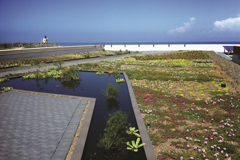 El Cuartel de Ballajá, Vegetated Green Roof  

While the green roof market in Puerto Rico has grown by 25% in recent years, El Cuartel de Ballajá is the first historic structure to feature one.