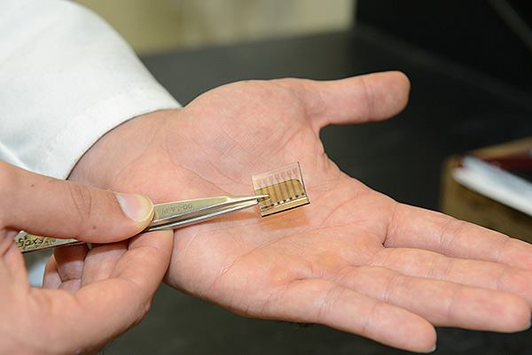 Stanford University's all-carbon solar cell