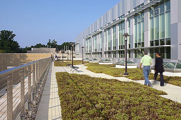 East terrace