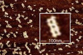 Cancer-fighting molecules designed with drag-and-drop software.