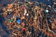 Plastics' slow degradation process results in the dispersal of small particles in the natural environment. Researchers in Italy and Sweden are cultivating microbes that can break down the material in a more environmentally friendly manner.