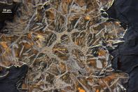 A microscopic view of carbide-rich iron shows rust (dark gray) and carbides (white).