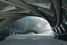 To encourage movement across the site, the torus lifts up from the ground plane at the east and west ends, creating entrances to a public courtyard as well as a direct pathway from the street into the park beyond.