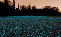 To the delight of the public, Starpath is being tested on 1,615 square feet of an existing path through Christ's Pieces municipal park in Cambridge, England.