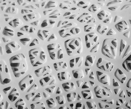 A close-up view of Smith|Allen's dropped ceiling graft, Liminal Mass.