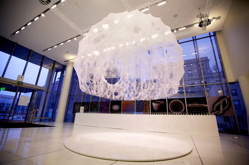 Front view of the completed Silk Pavilion in the MIT Media Lab Lobby.