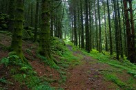 Randi Hausken via Flickr Creative Commons