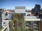 The vines used for the green wall will change color with the seasons.
