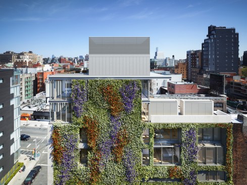 The vines used for the green wall will change color with the seasons.