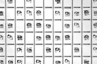 A collection of drawings created by Tresset’s robots—no two are alike.
