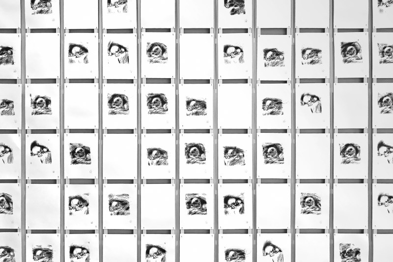 A collection of drawings created by Tresset’s robots—no two are alike.
