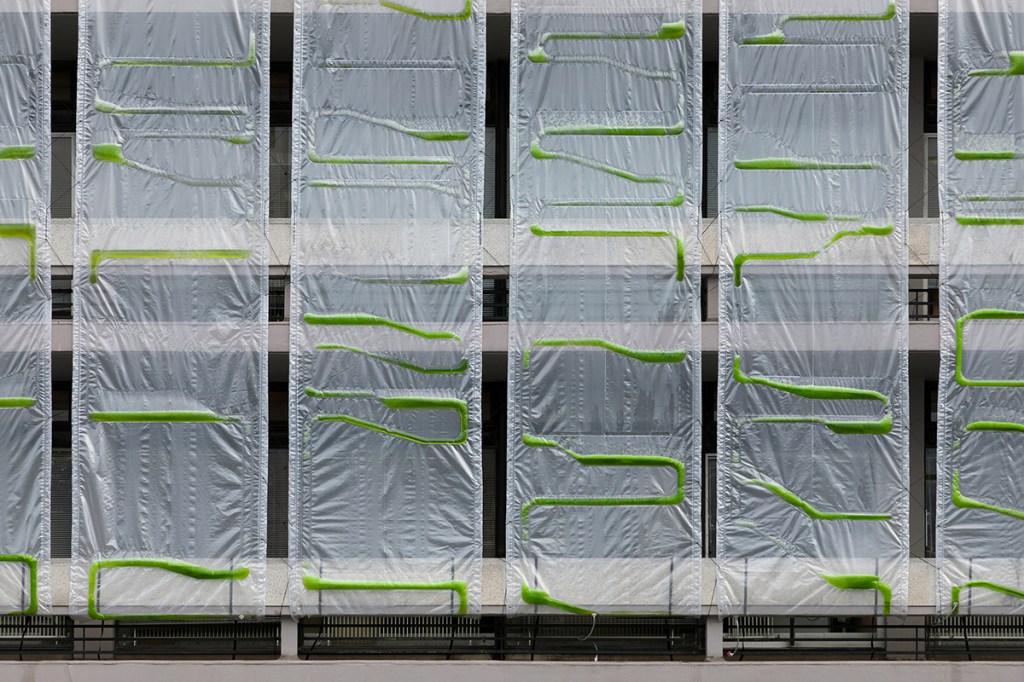 Photosynthetica curtain