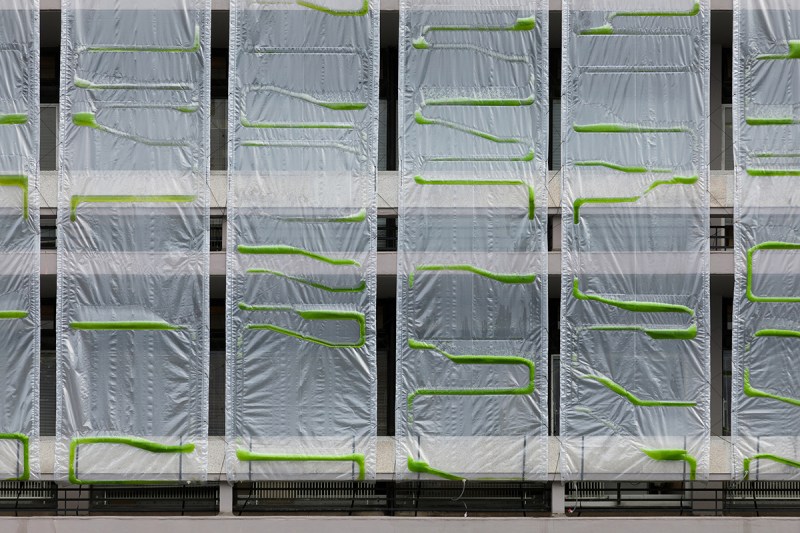 Photosynthetica curtain