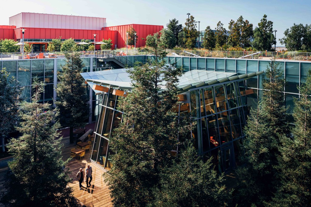 The new "Town Square" features 40-foot-tall redwood trees.