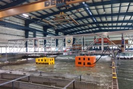 Wave testing at Oregon State University