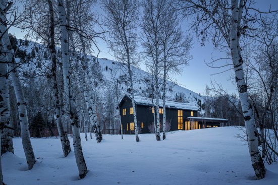 Big Wood Residence