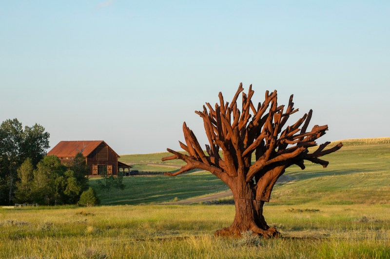 Ai Weiwei, Iron Tree, 2013. Cast in iron, 20.5’ x 23’ x 23’.