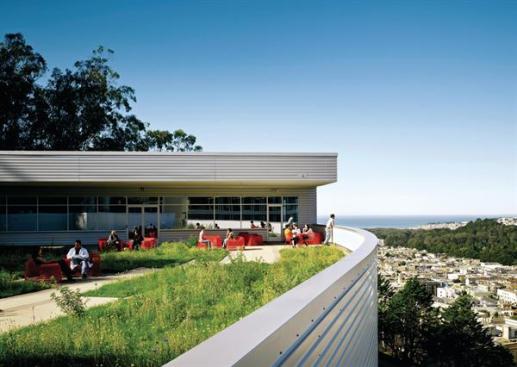 A series of green-roof terraces (this image) follows the buildings stepped-down volumes. These public outdoor spaces afford views of Golden Gate Park and the Pacific Ocean beyond