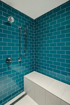 Master Shower