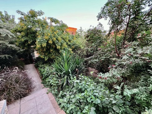 View of lush foliage within the Al-Khalifa Heritage and Environment Park.