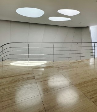 Skylights above the primary circulating stair create strong points of contrast.