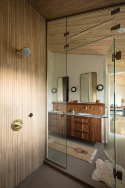 Shower, Primary Bathroom
