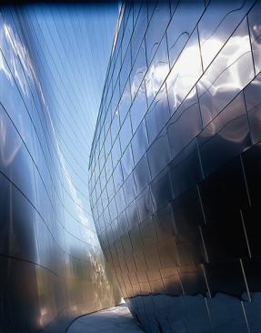 Walt Disney Concert Hall, Los Angeles.