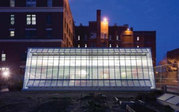 The greenhouse at dusk.