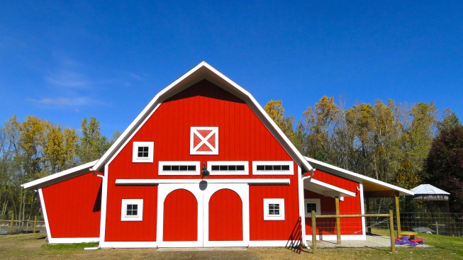Animal and Hay Barn