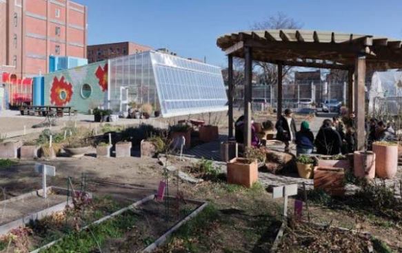 Garden class transpires in the outdoor classroom.