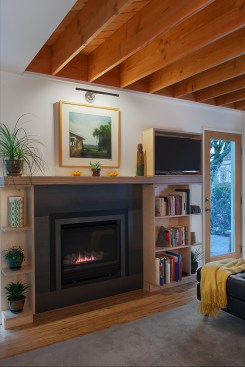 Seward Park Backyard Cottage
