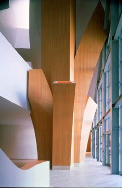 Walt Disney Concert Hall, Los Angeles.