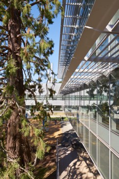 Curtainwall detail, LBNL Building 33, RMW architecture & interiors