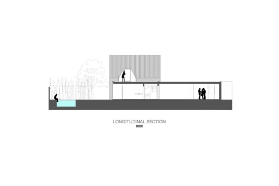 Longitudinal section