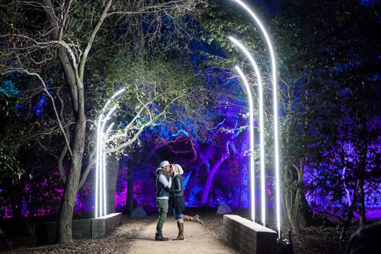 Enchanted: Forest of Light – La Cañada, Flintridge, Calif.