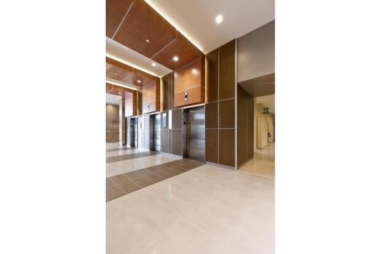 LEVELe Wall System with Capture panels; insets in Bonded Bronze with Natural Patina and Kalahari pattern; LightPlane panels in ViviChrome Chromis glass with White interlayer and Standard finish at Princeton Medical Arts Pavilion, Plainsboro, New Jersey