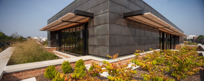 Green Roof