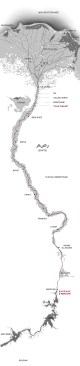 module repartition on the Nile