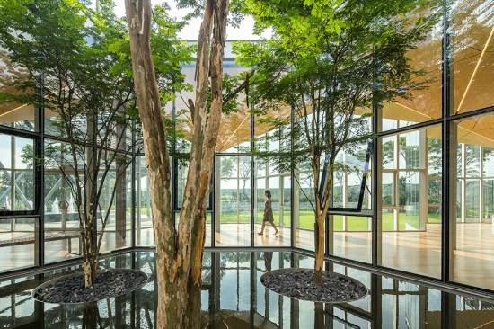 Indoor Courtyard