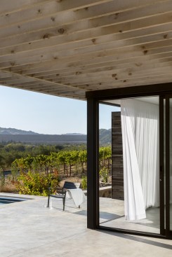 Trellis