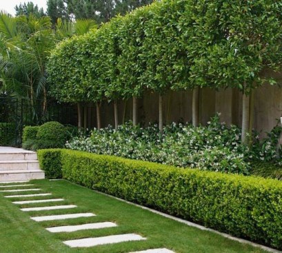Entry to Lawn