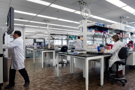 Lab