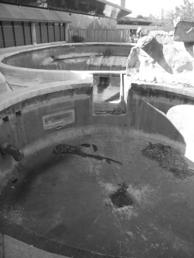 Original whale tanks (2)