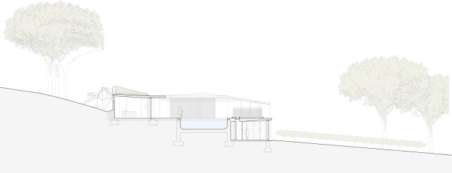 Section.