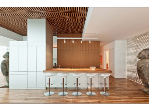 Chicago Apartment 