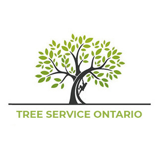Tree Service Ontario